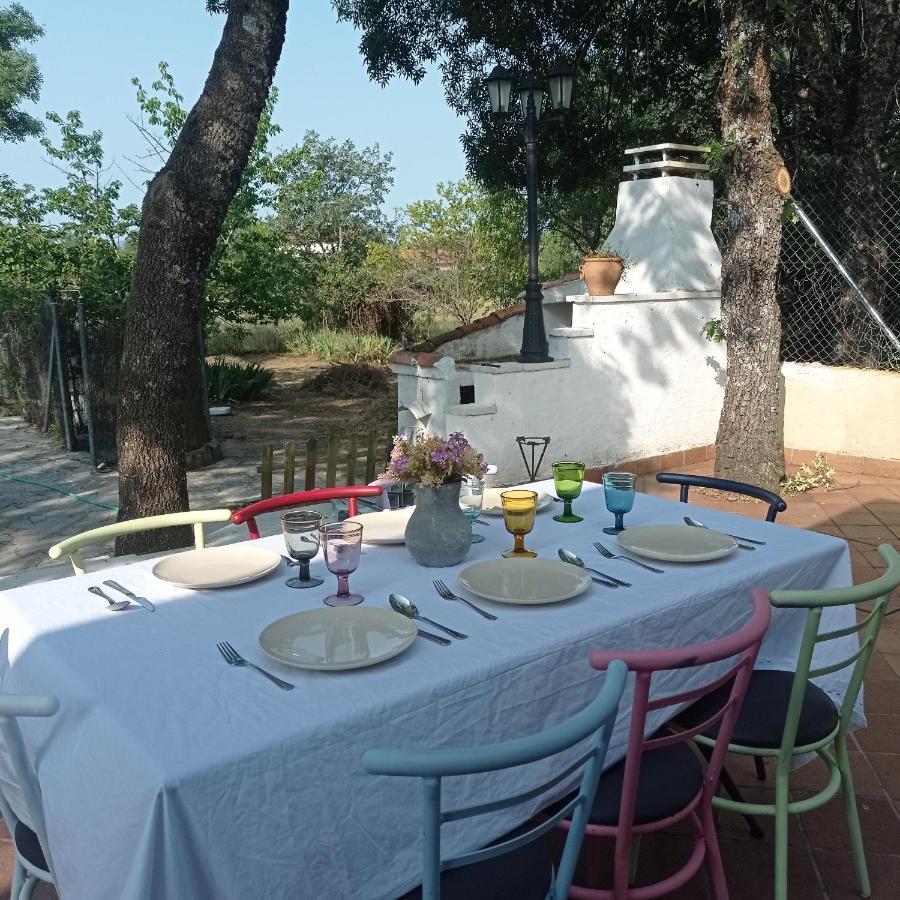 Casa Rural Vinas Perdidas 贝哈尔 外观 照片