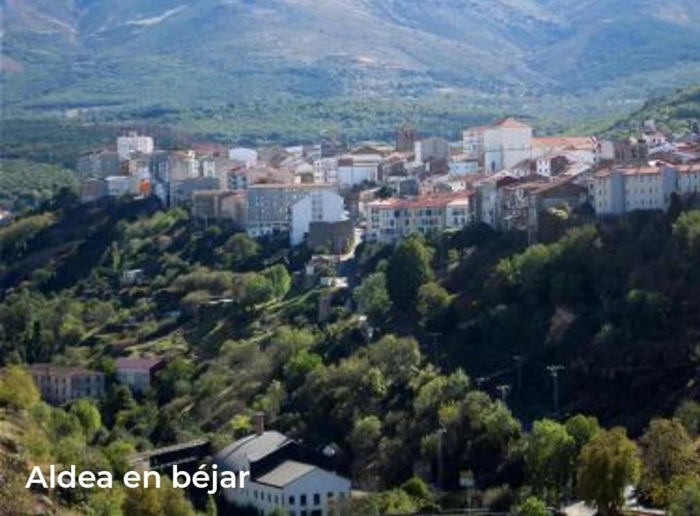 Casa Rural Vinas Perdidas 贝哈尔 外观 照片