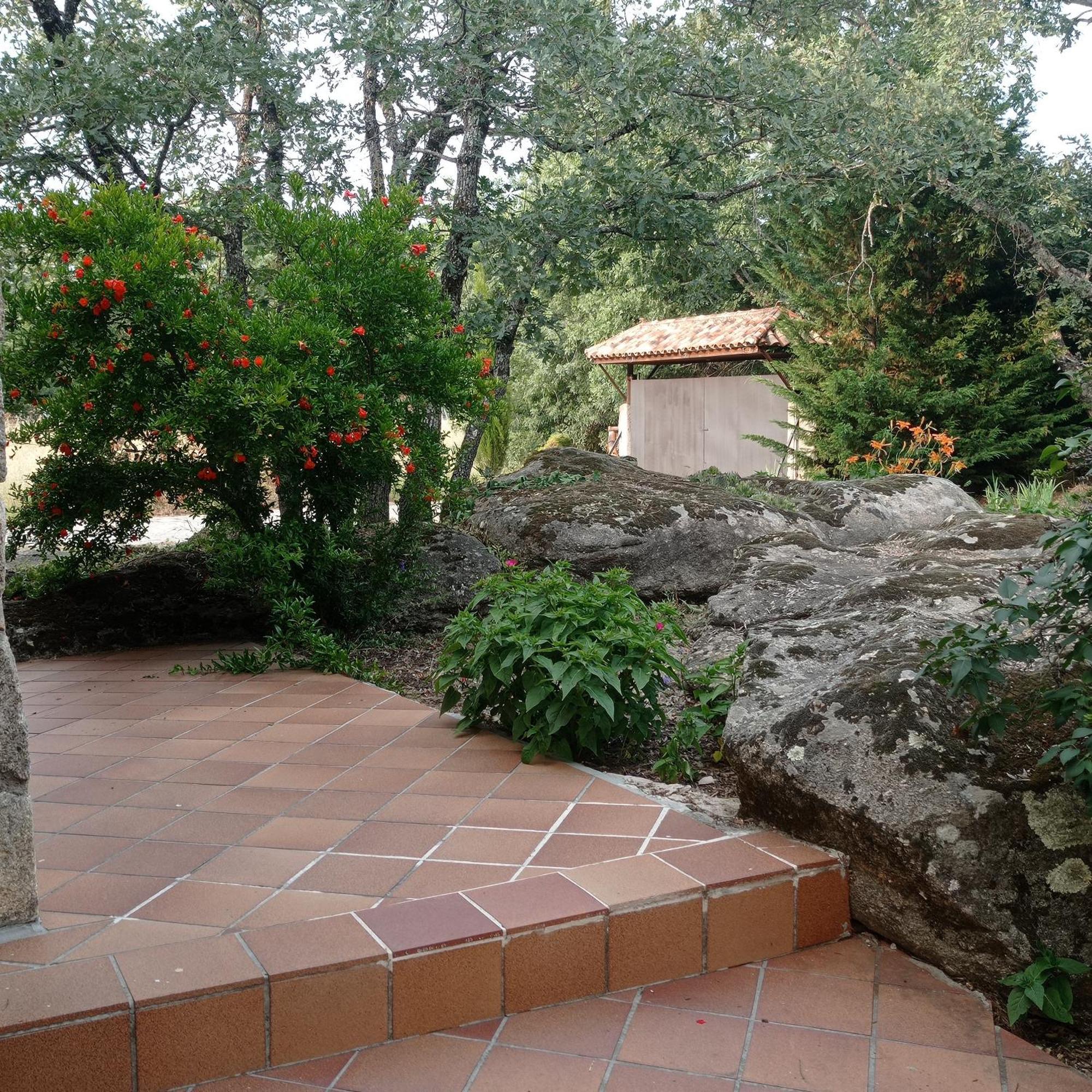 Casa Rural Vinas Perdidas 贝哈尔 外观 照片